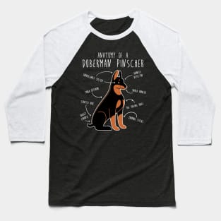 Doberman Anatomy Baseball T-Shirt